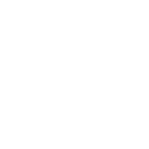 Visi